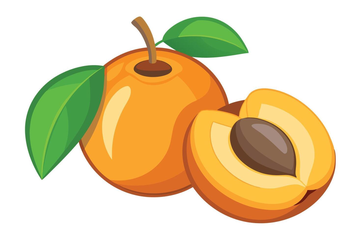 A illustration of Two Apricots, One Halved vector