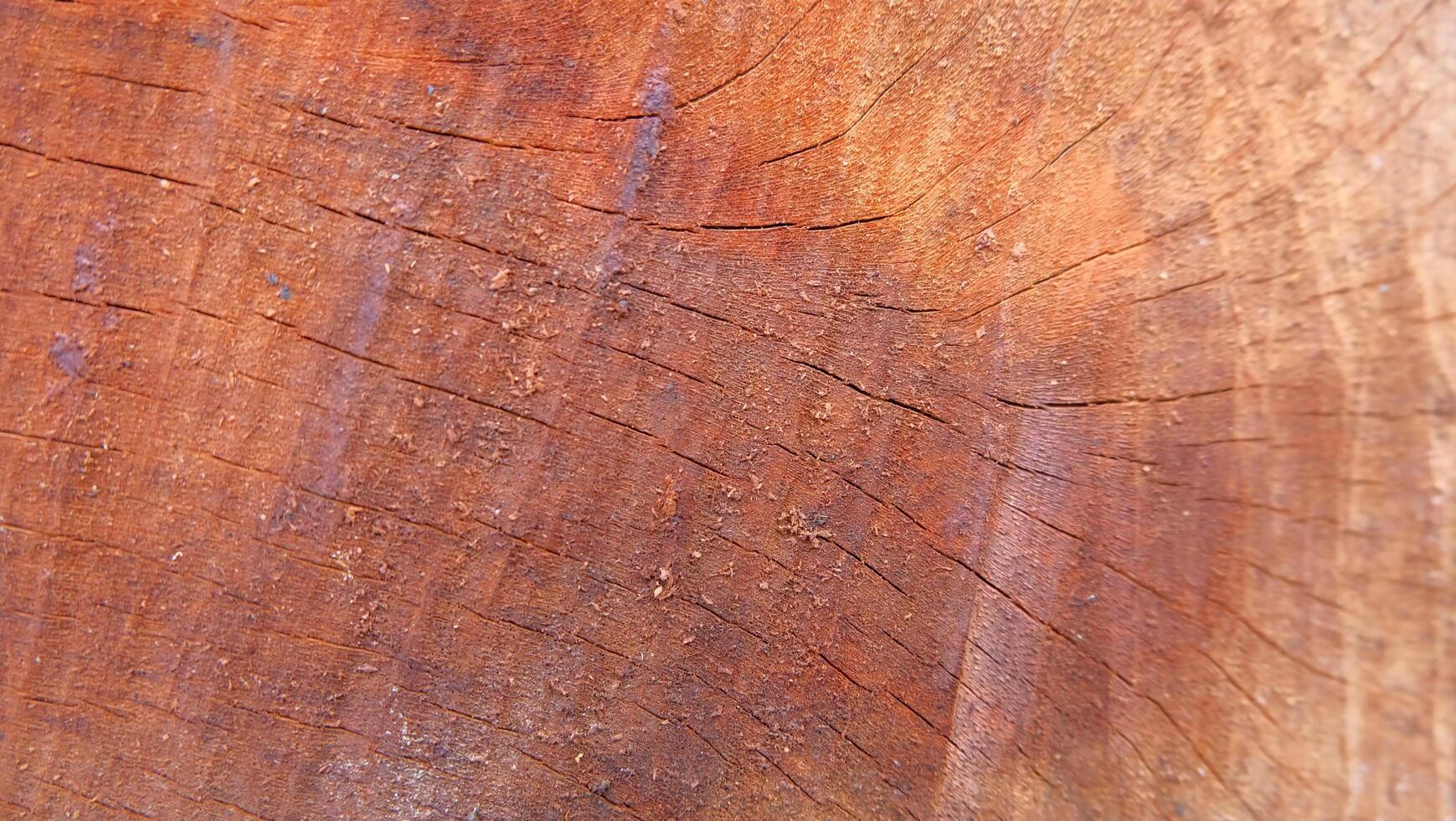 A close up of a wooden surface with a brown stain photo