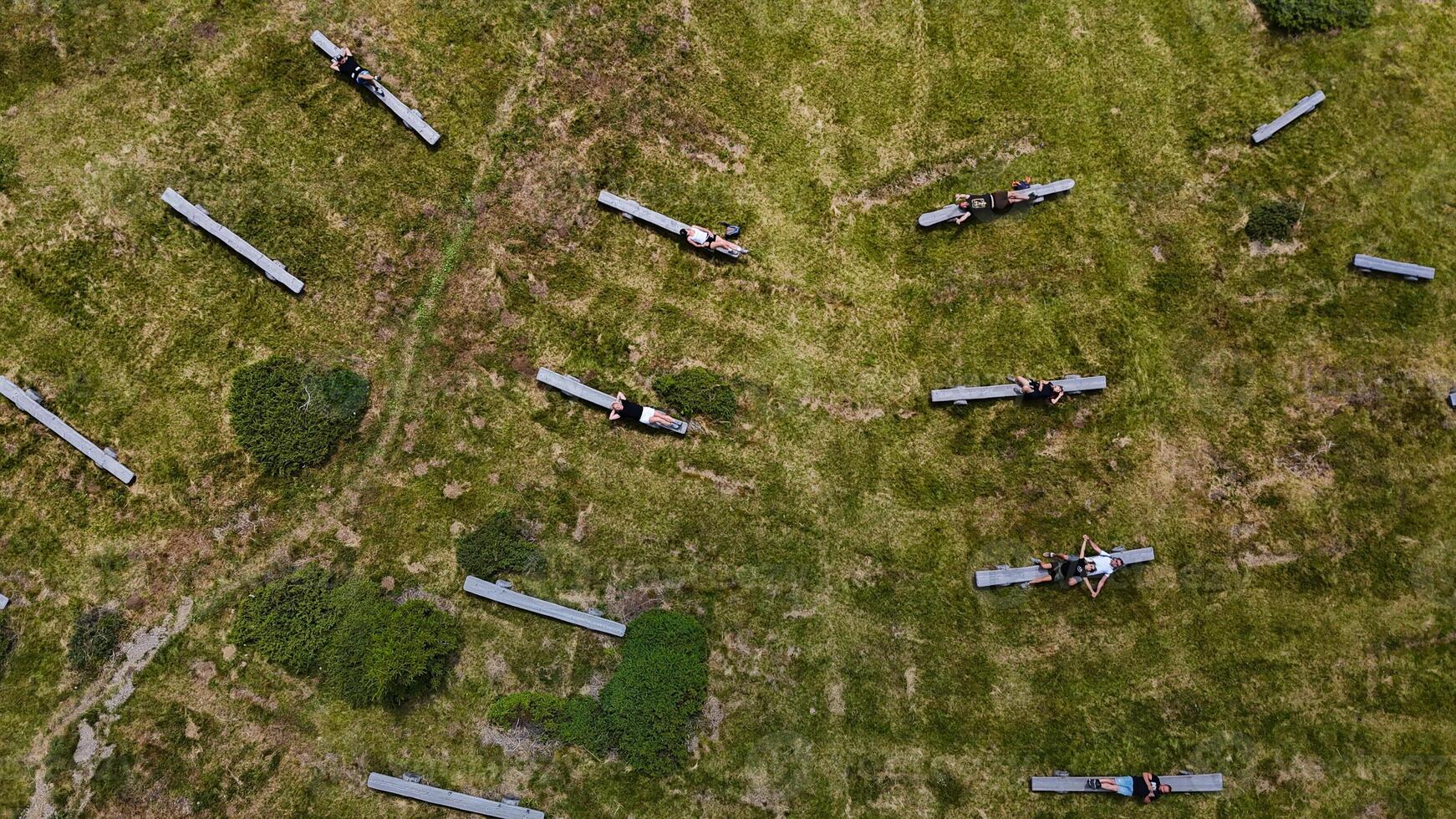 Relaxation and connection blossom as people engage with nature on wooden benches in an open meadow photo