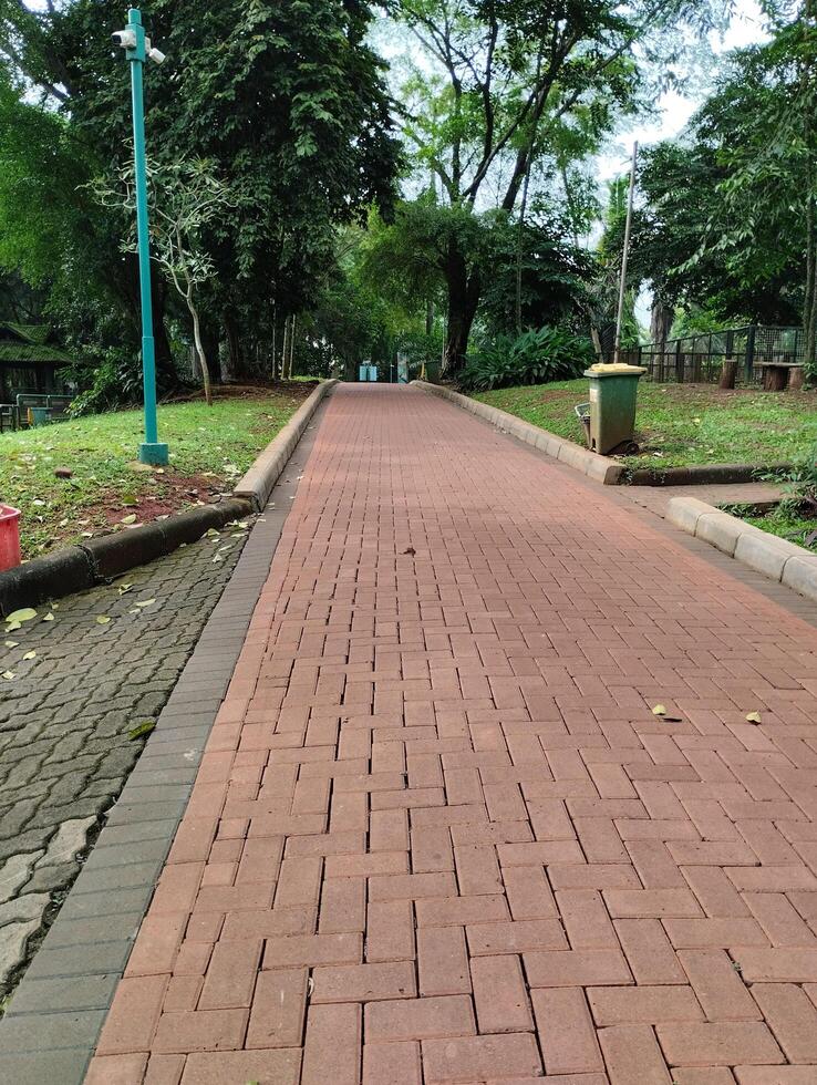 A paved path with a bench photo