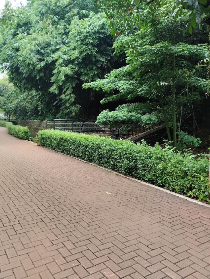 A man riding a skateboard down a paved path photo