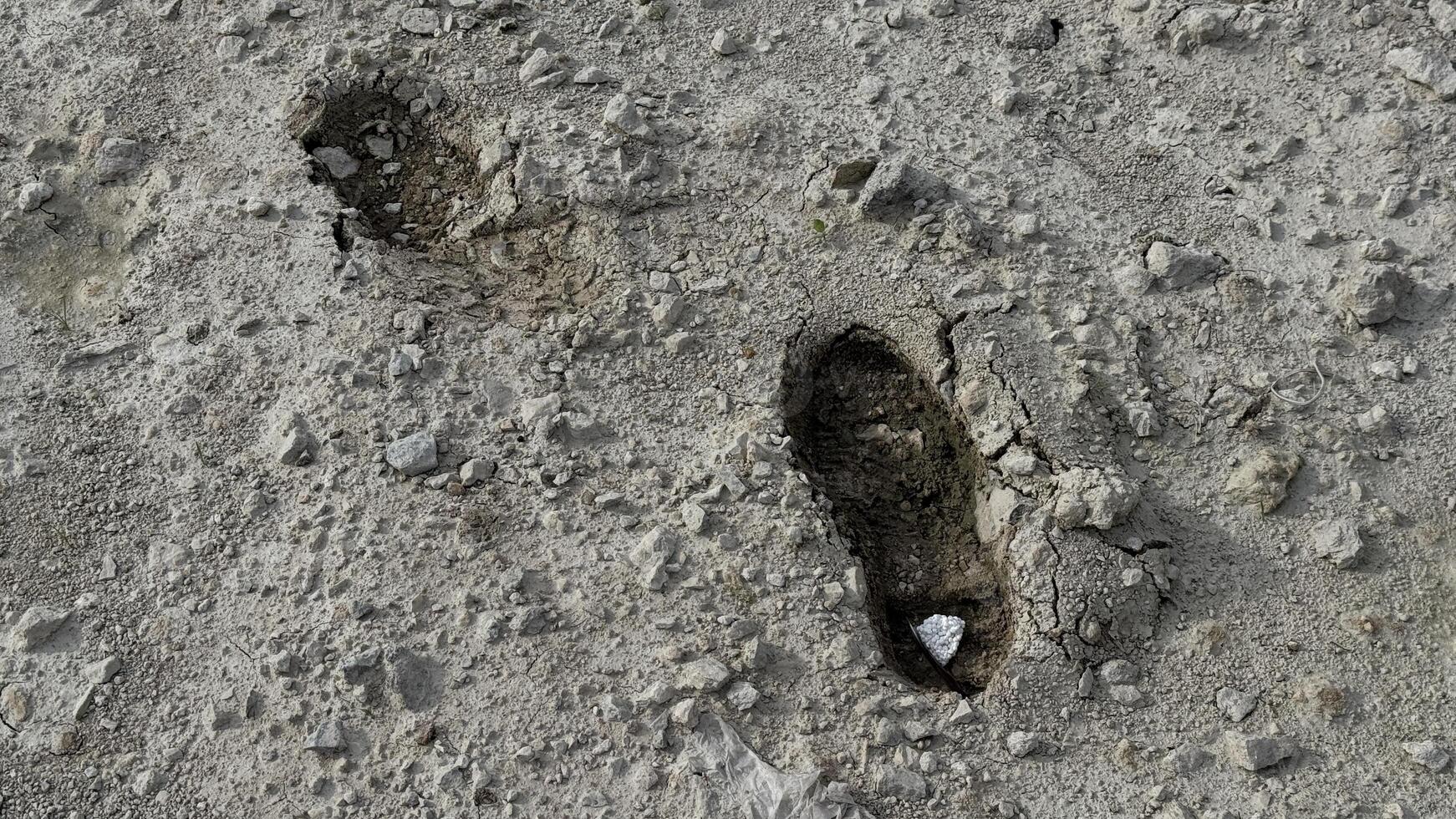 Footprints in the Dirt A detailed view reveals two distinct footprints imprinted on a textured, earthy surface, suggesting a journey or passage. photo