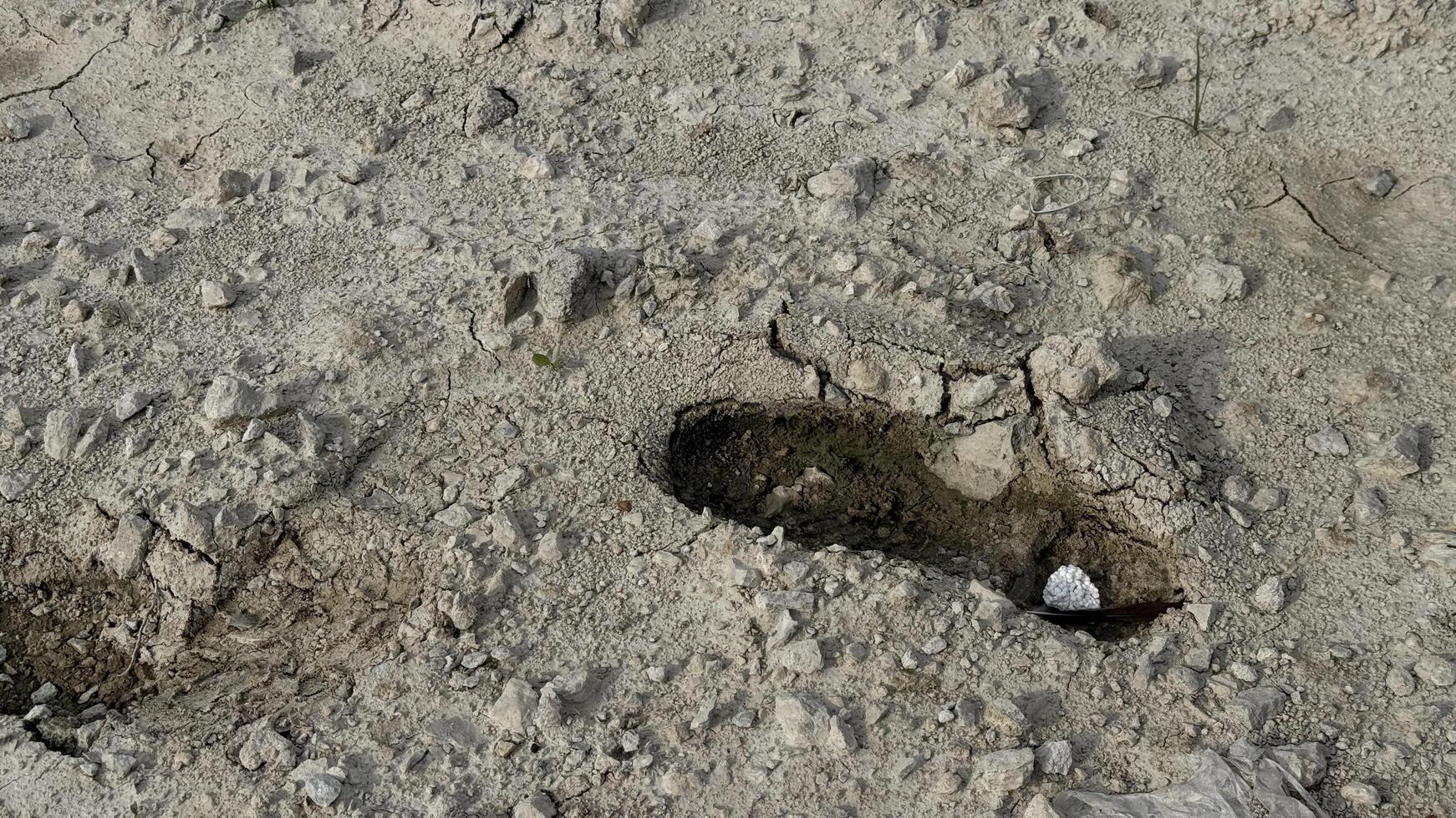 Footprint in Desert A lone footprint, pressed firmly into the cracked and textured surface of a desolate desert landscape, tells a silent story of passage and exploration. photo