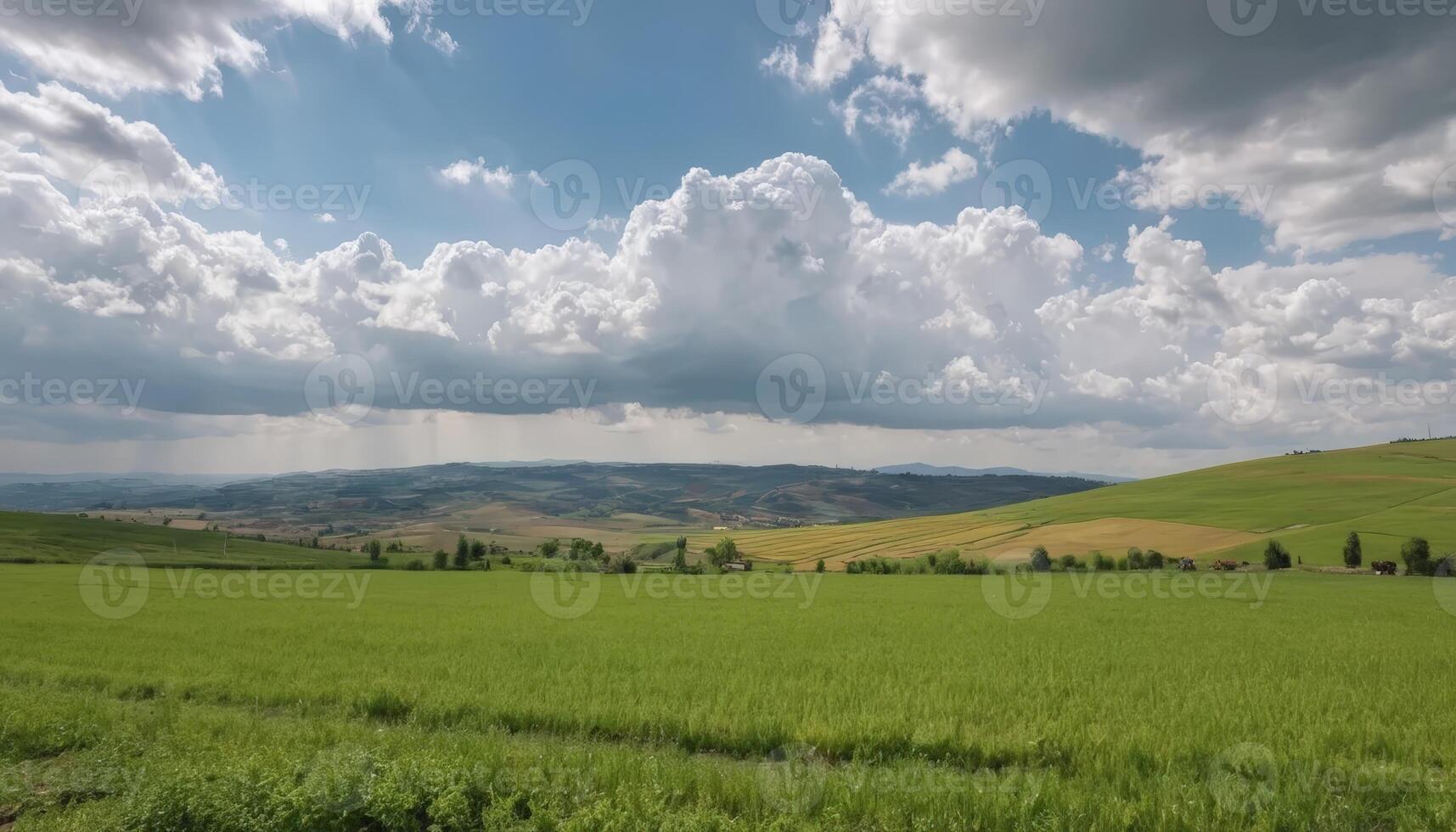 Wide, green agricultural field stretching into the horizon, with a mix of crops and grass under a partly cloudy sky, conveying prosperity, farming, and rural life. photo