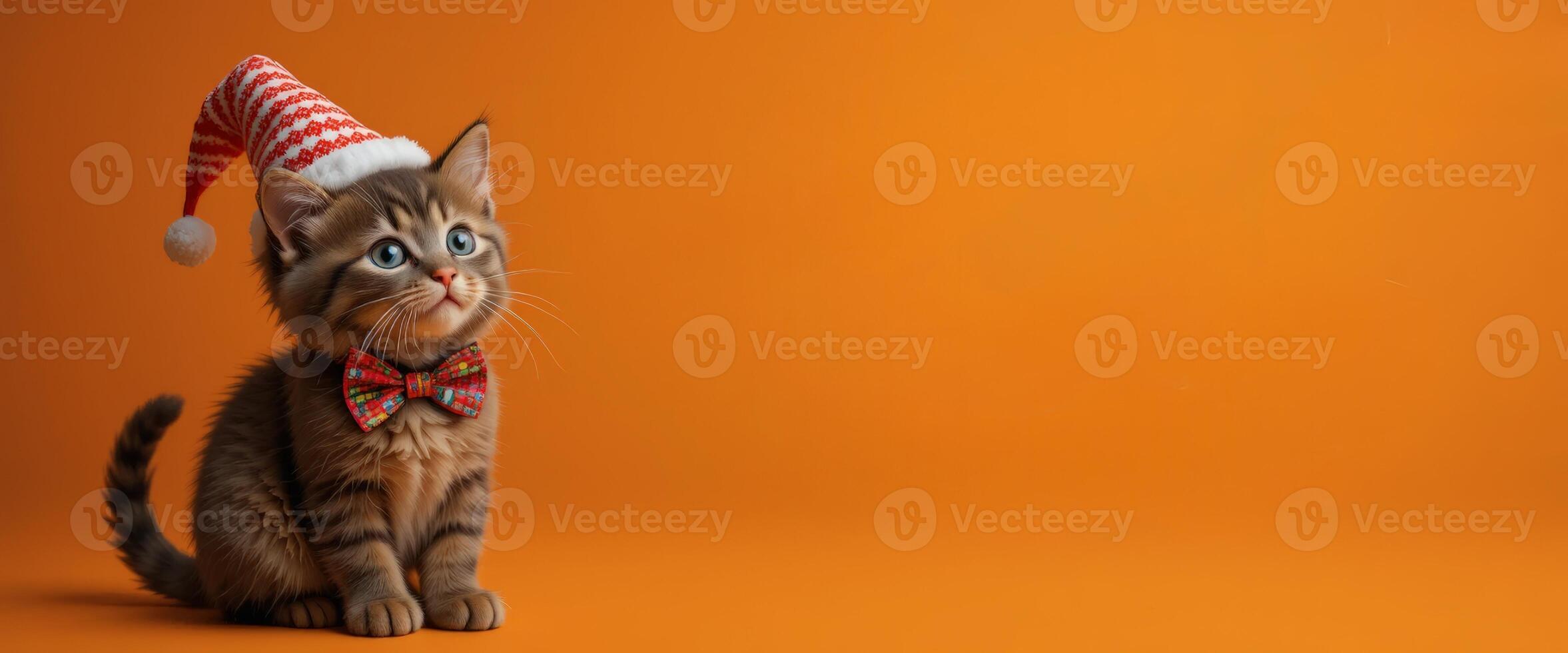 A playful tabby cat wearing a red and white party hat, sitting against an orange backdrop, ideal for pet-related celebrations or festive themes. photo