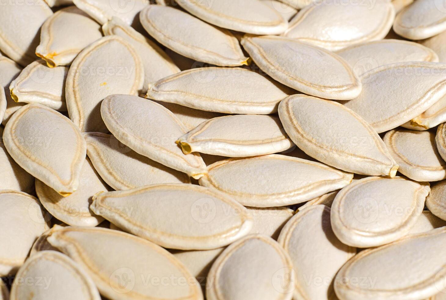 Pumpkin seeds closeup photo