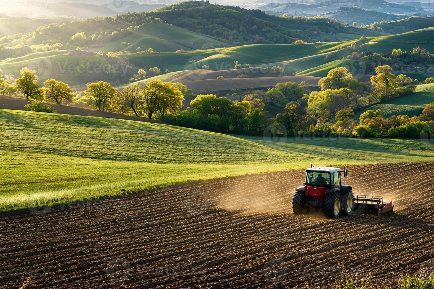 aerial view of cultivated field with rows of beds and moving tractor among hills, pastoral landscape of farm life photo