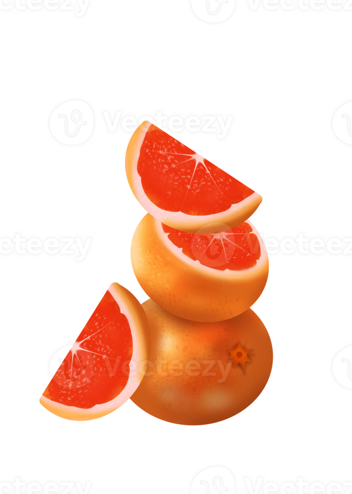 Simple Grapefruits Illustration png