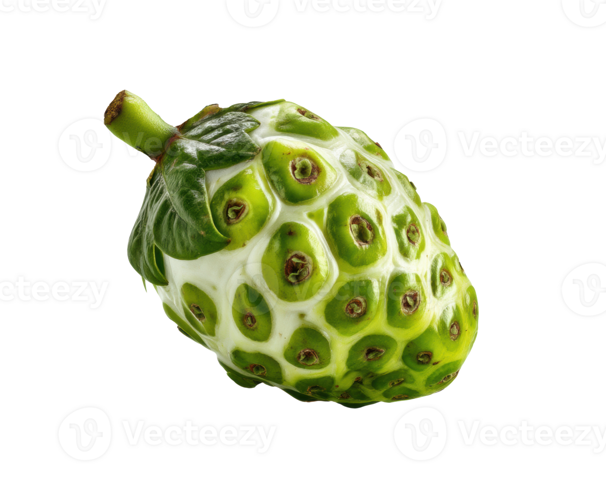 Unique green fruit known as noni with textured surface and leaves png