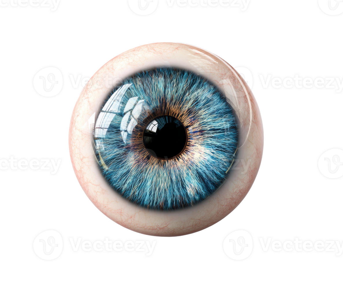 Vibrant blue iris details in a realistic human eye png