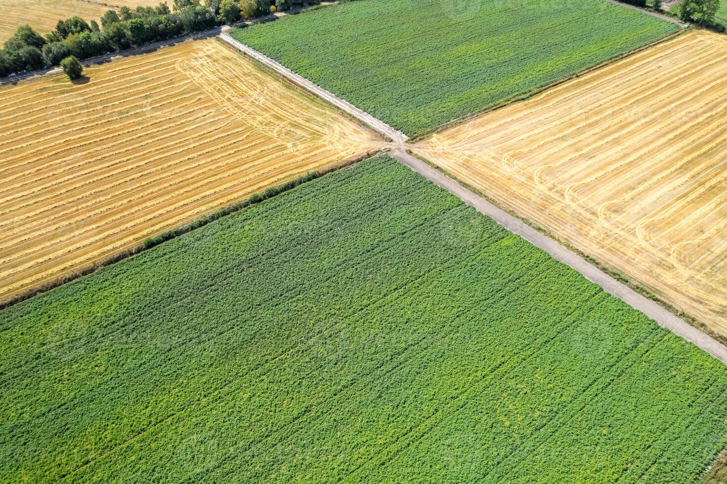 aerial view of intersecting potato and cereal fields. aerial landscape with diverse farm fields and a road photo