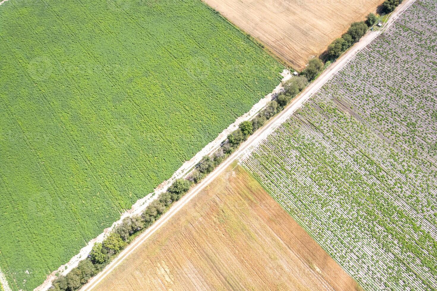 drone top down view aerial landscape with diverse farm fields and a road Agricultural background concept photo