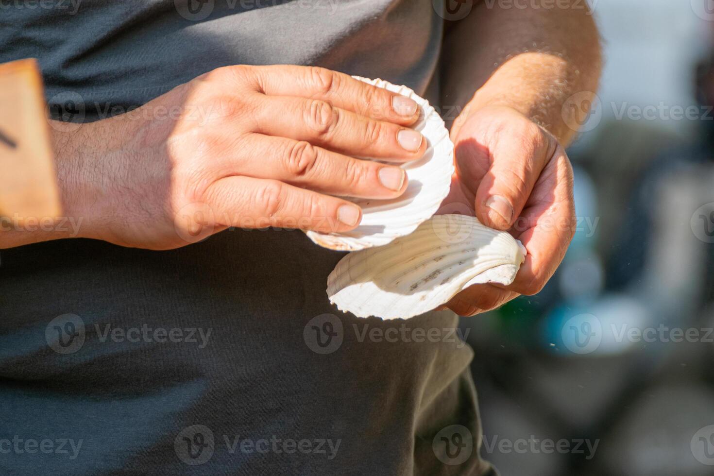 hands of a man using scallop shells as a traditional instrument at a party in Galicia, music folk concept photo