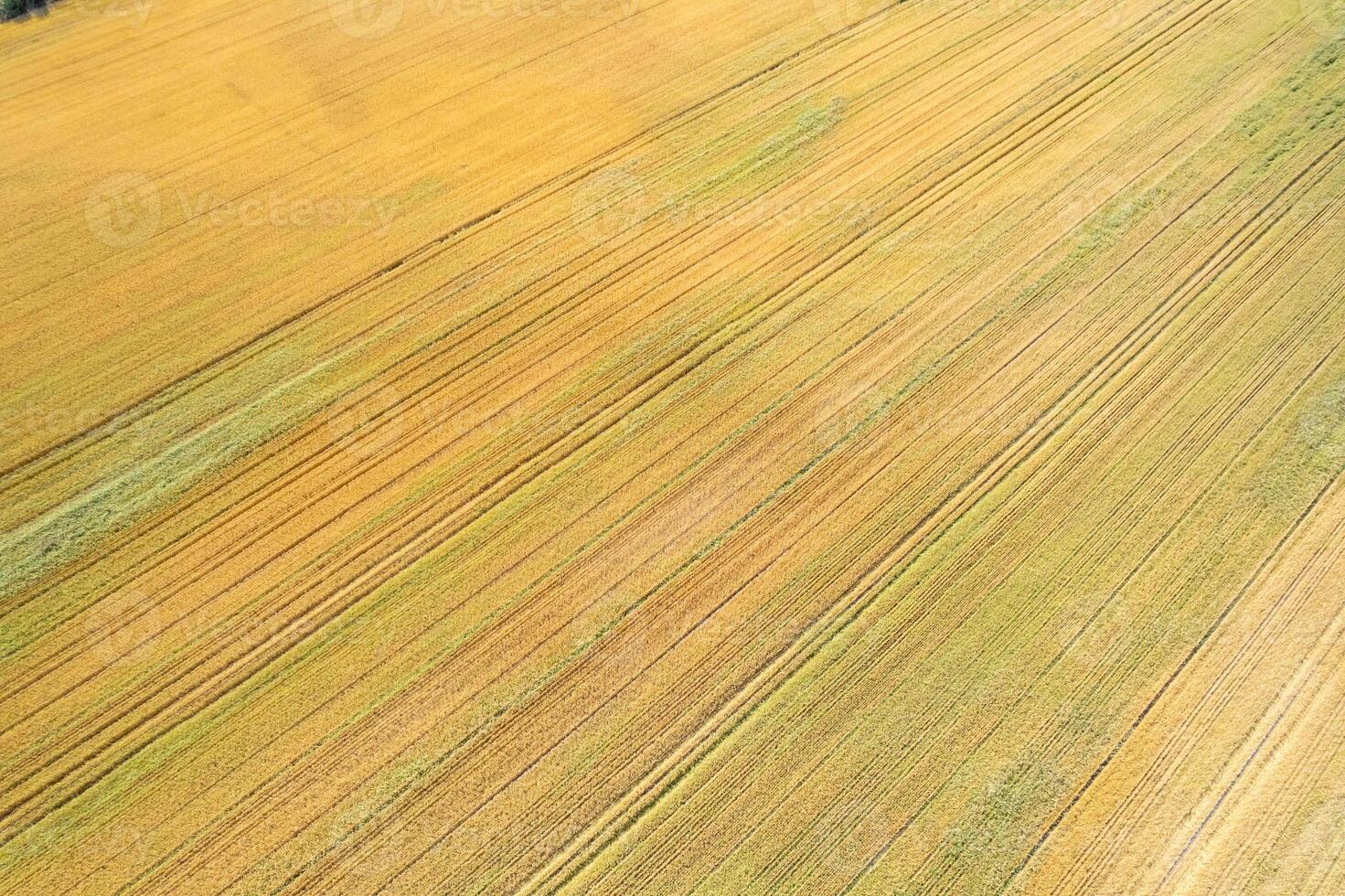 drone top view aerial shot farmland abstract lines and textures from above, agricultural fields in summertime photo