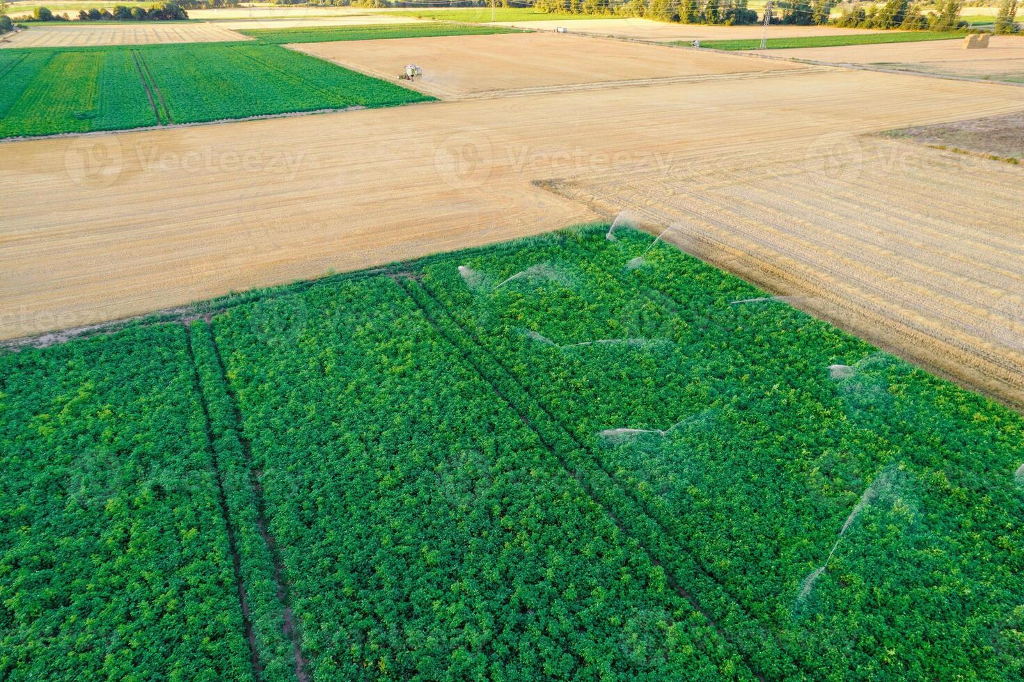 contrasting colors of irrigated and dry agricultural land from above top-down view of farmland with irrigation in progress photo