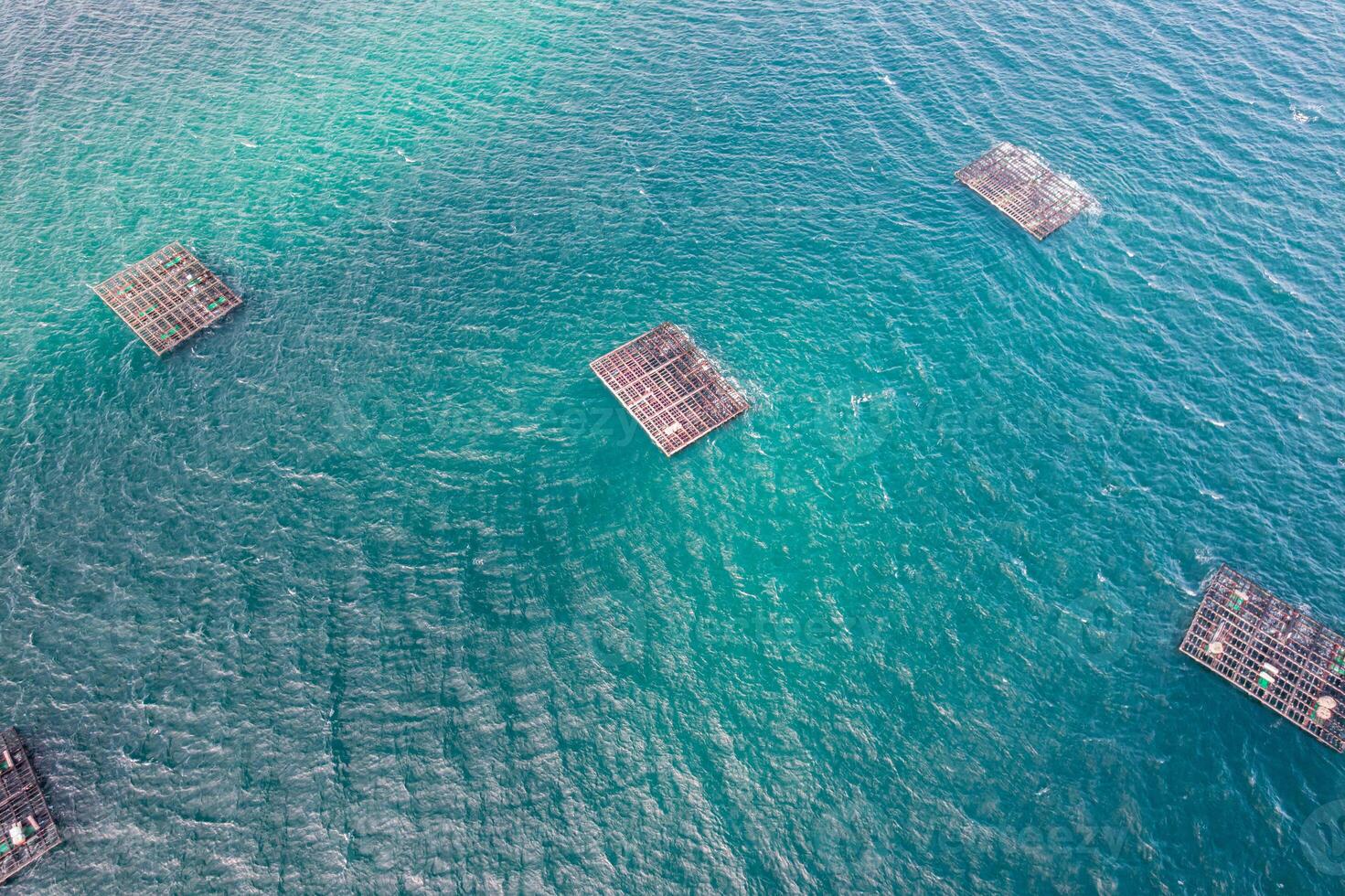 Top down view of floating platforms for shellfish farming in the ocean photo