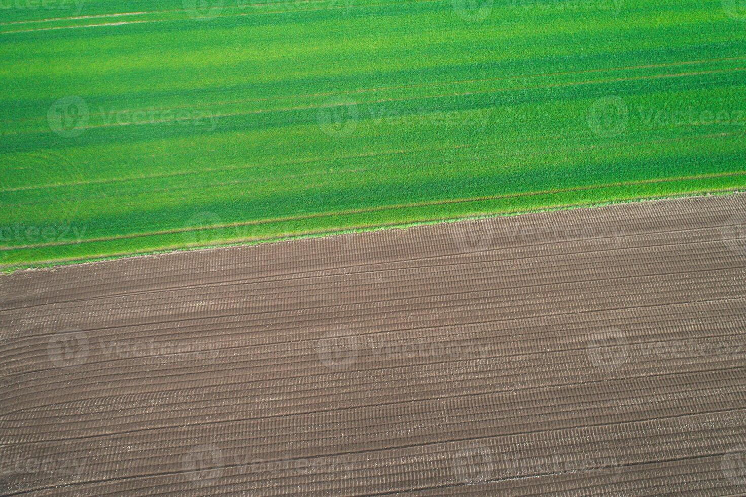 overhead view of agricultural fields with a strong diagonal line, drone shot of sharp diagonal line between two farm fields photo