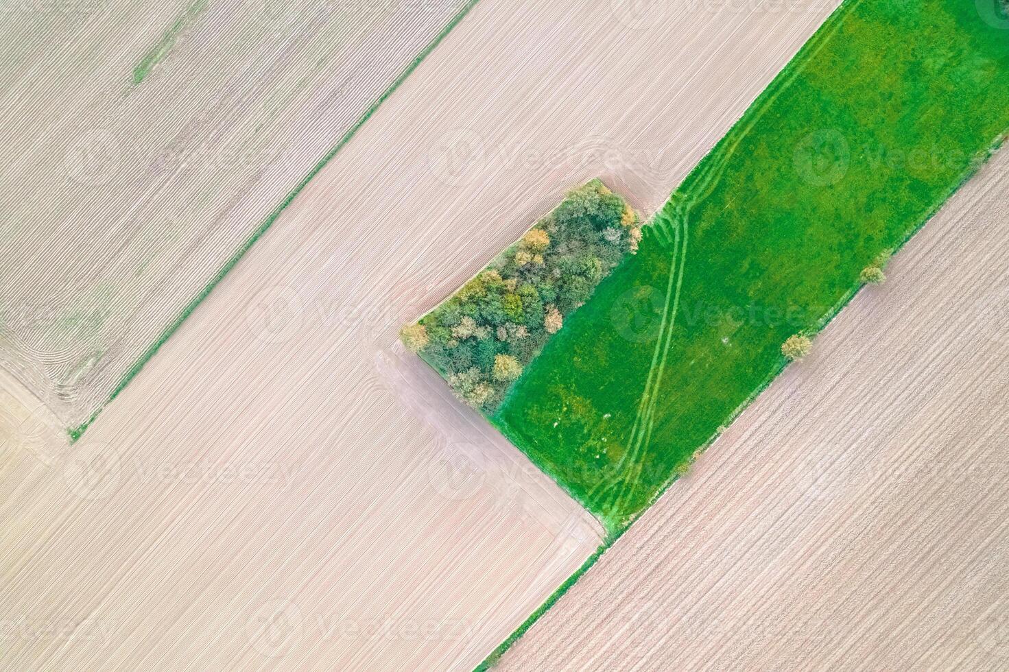 drone shot of farmland with tilled soil, green crops, and trees drone shot of farmland with tilled soil, green crops, and trees photo