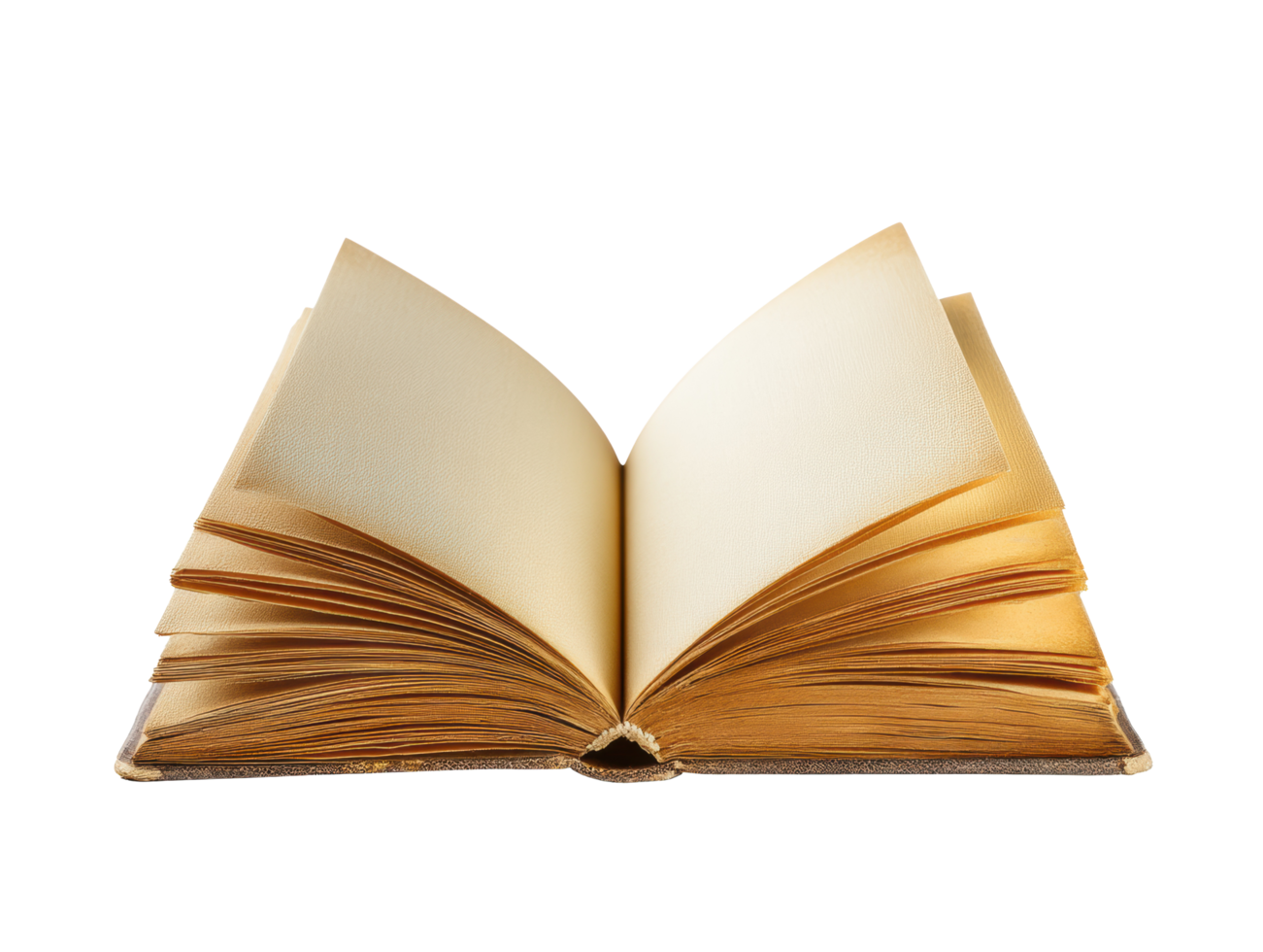Elegant open book with blank pages for creative projects png