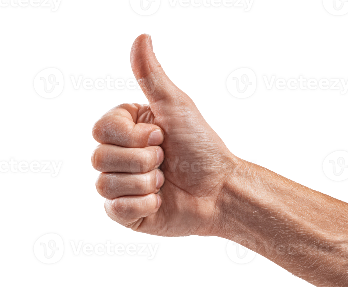 Positive gesture showing approval and encouragement from a hand png