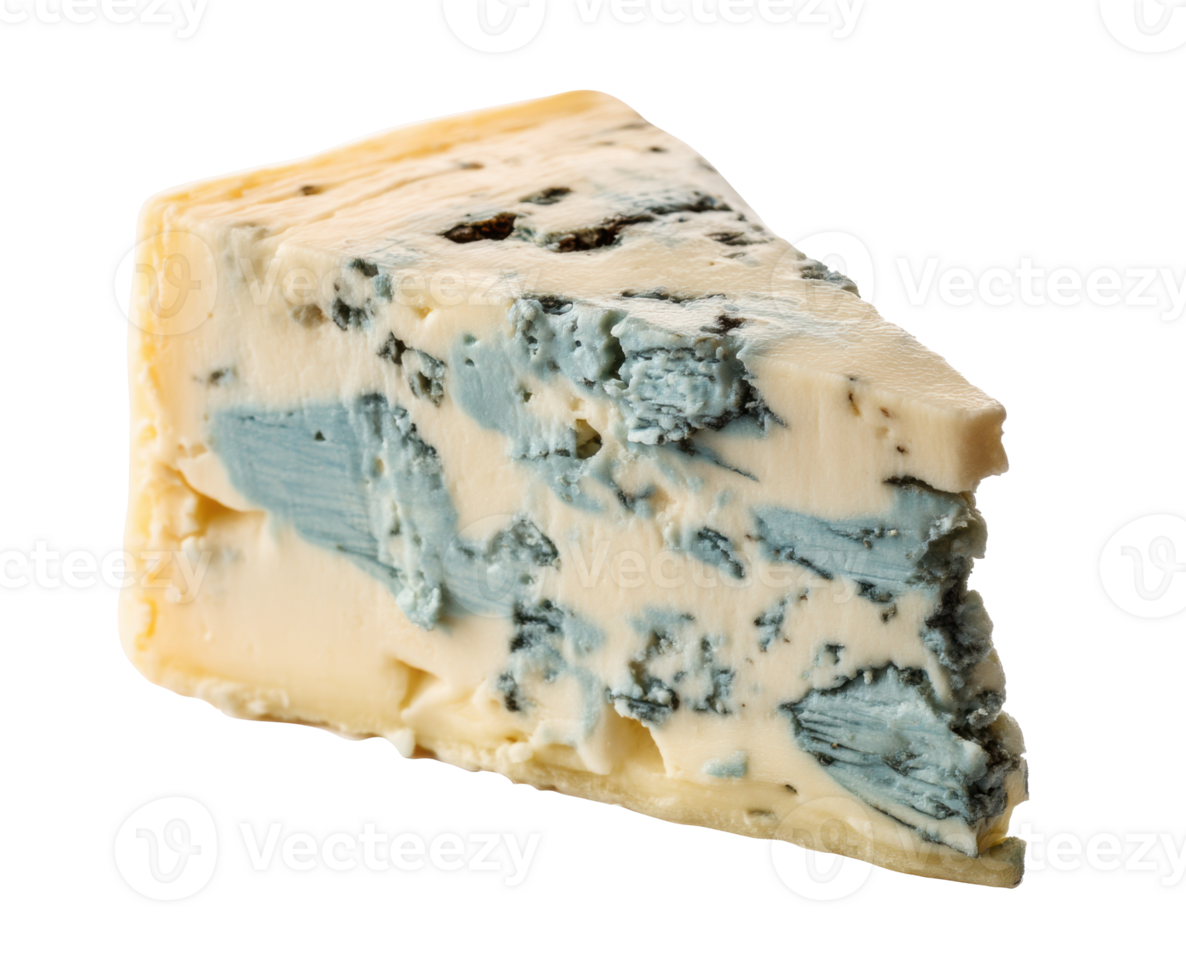 Artisan blue cheese segment highlighted with rich textures and flavors png