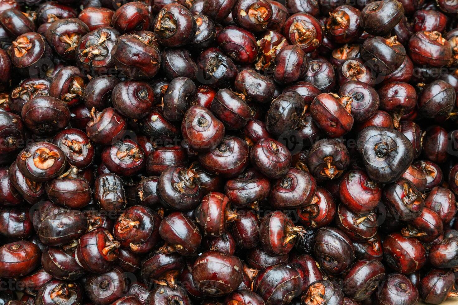 A pile of Chinese water chestnut photo