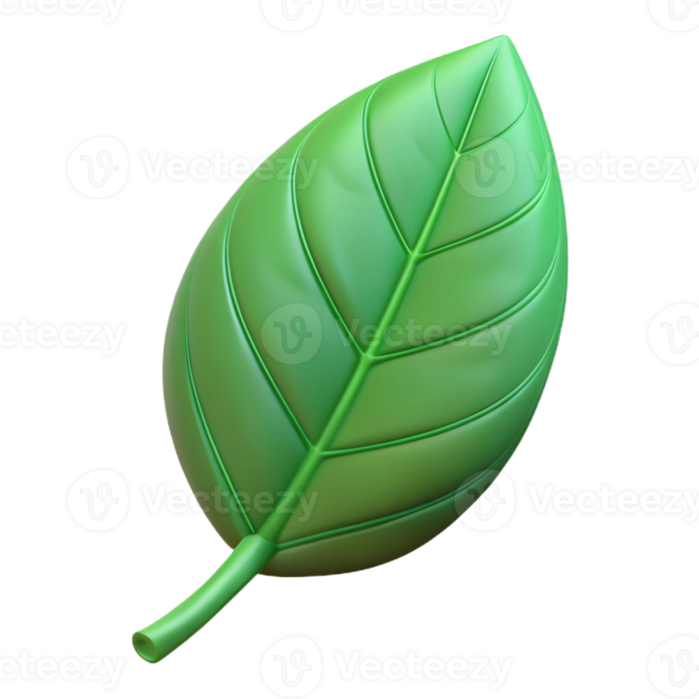 striking notable Single leaf with clean lines and flat color. Minimal, with Scalable Design. png