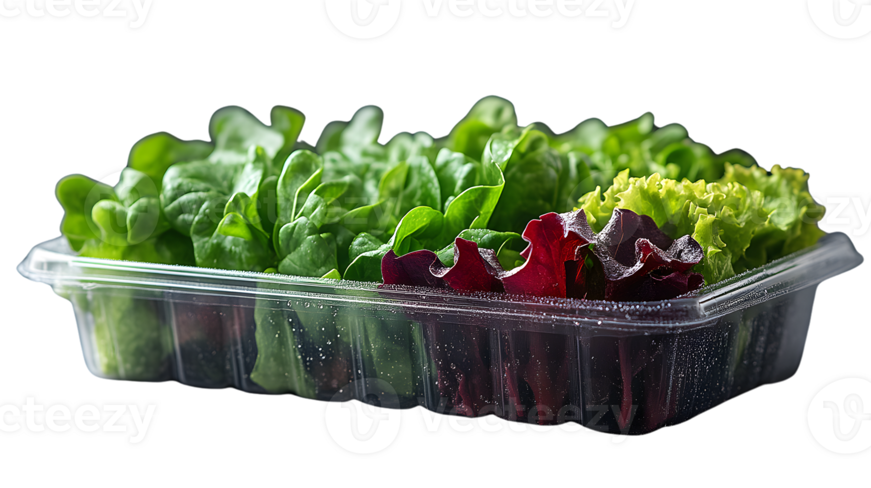 Fresh Green and Red Lettuce in Clear Plastic Container for Healthy Eating and Salad Preparation png