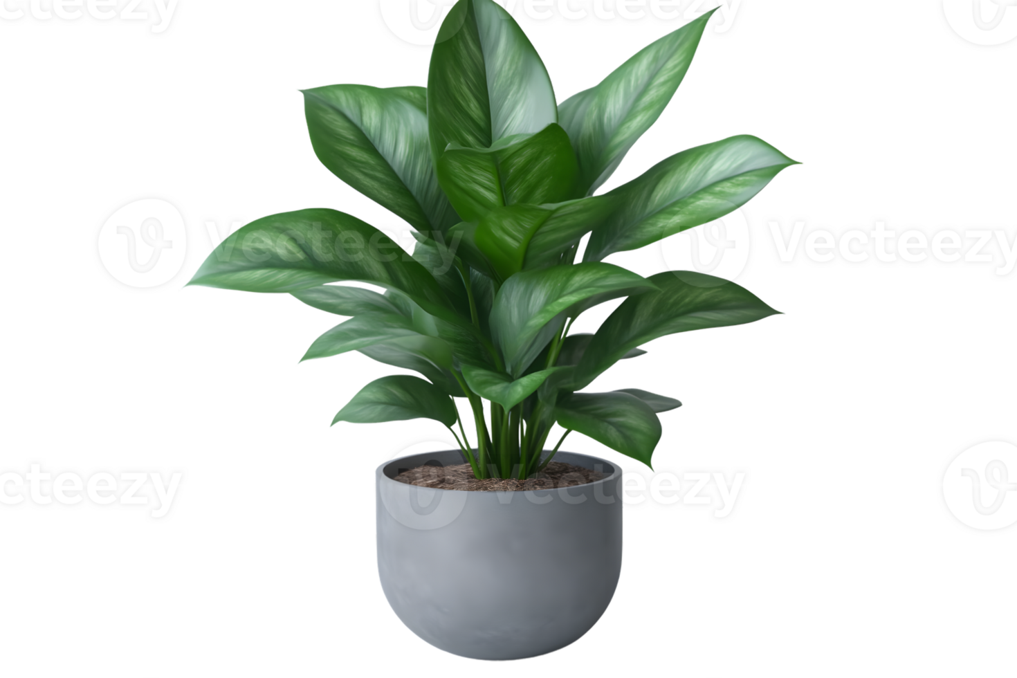 A lush green leafy plant in a modern pot perfect for home decor and interior design projects png