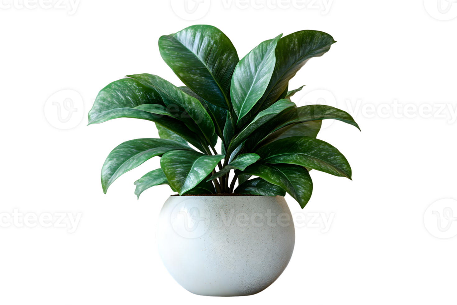 A lush green plant in a modern white pot perfect for home decor and interior design enthusiast png