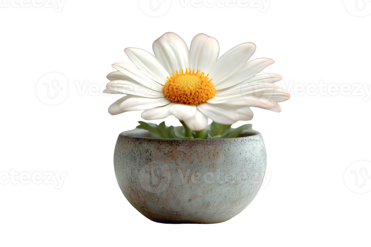 A single white flower in a rustic pot perfect for home decor and naturethemed designs png