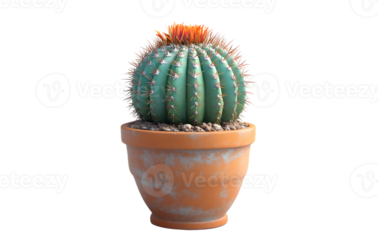 A vibrant cactus with striking spines and colorful top potted in a rustic container for indoor png