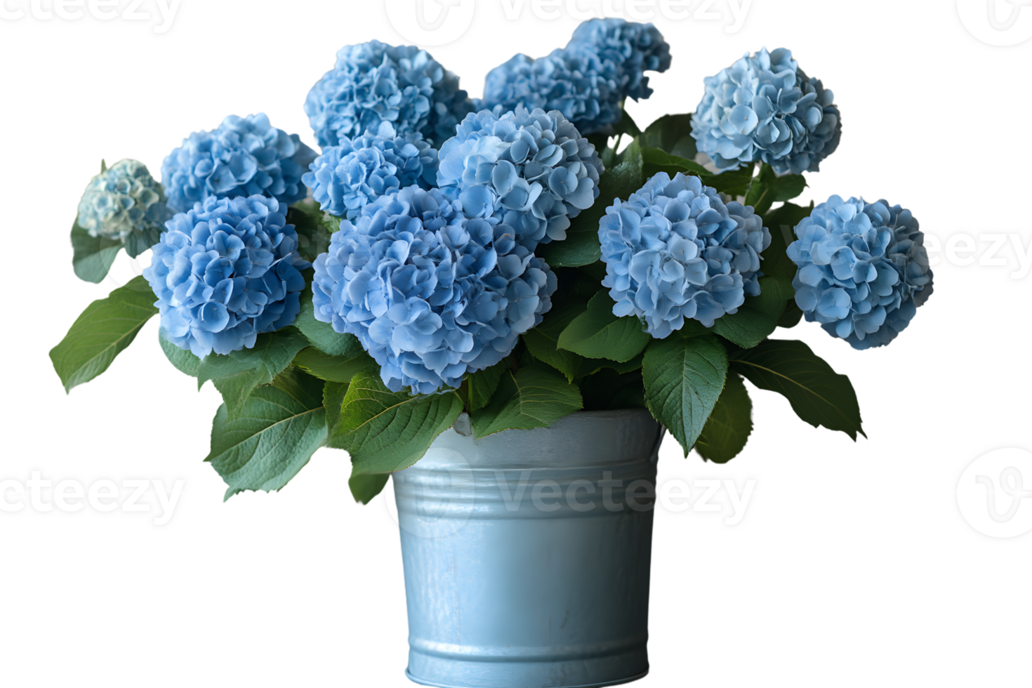 Blue Hydrangea Bouquet in a Light Blue Vase Floral Arrangement Garden Flowers Home Decor Bo png