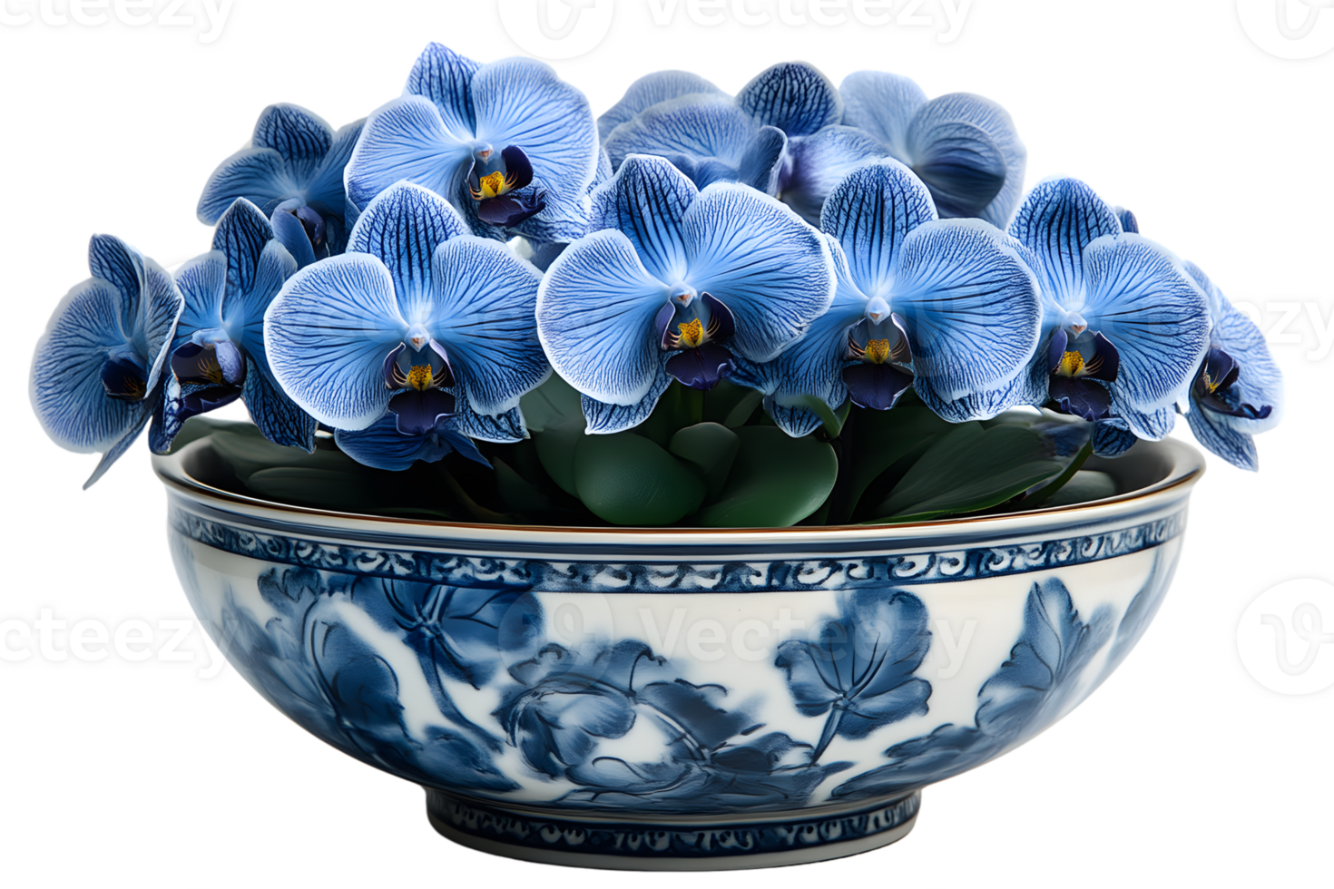 Blue Orchids in a Decorative Bowl Floral Arrangement Still Life Photography png