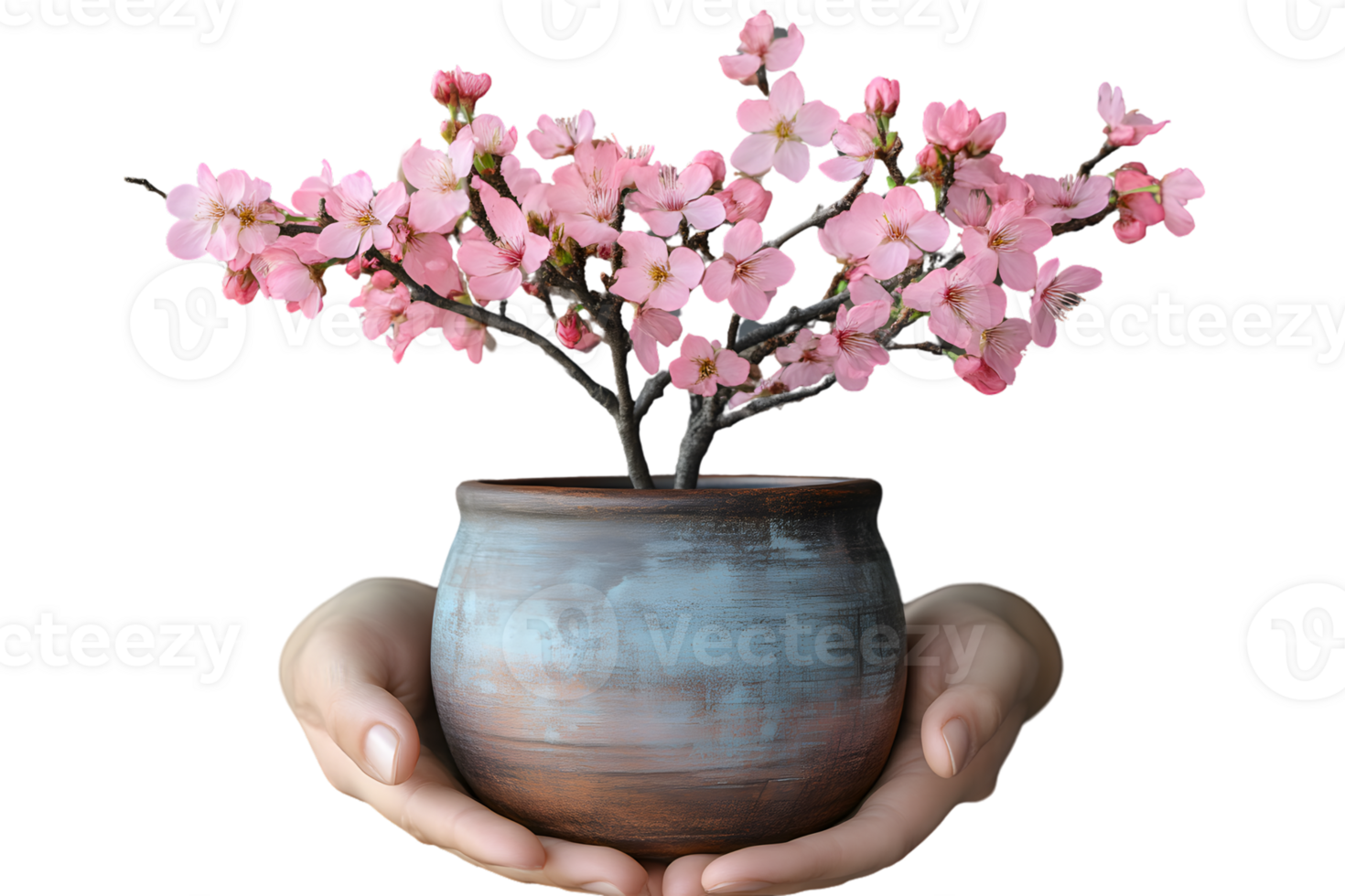 Delicate Blossoms in a Ceramic Pot Held Tenderly by Hands png