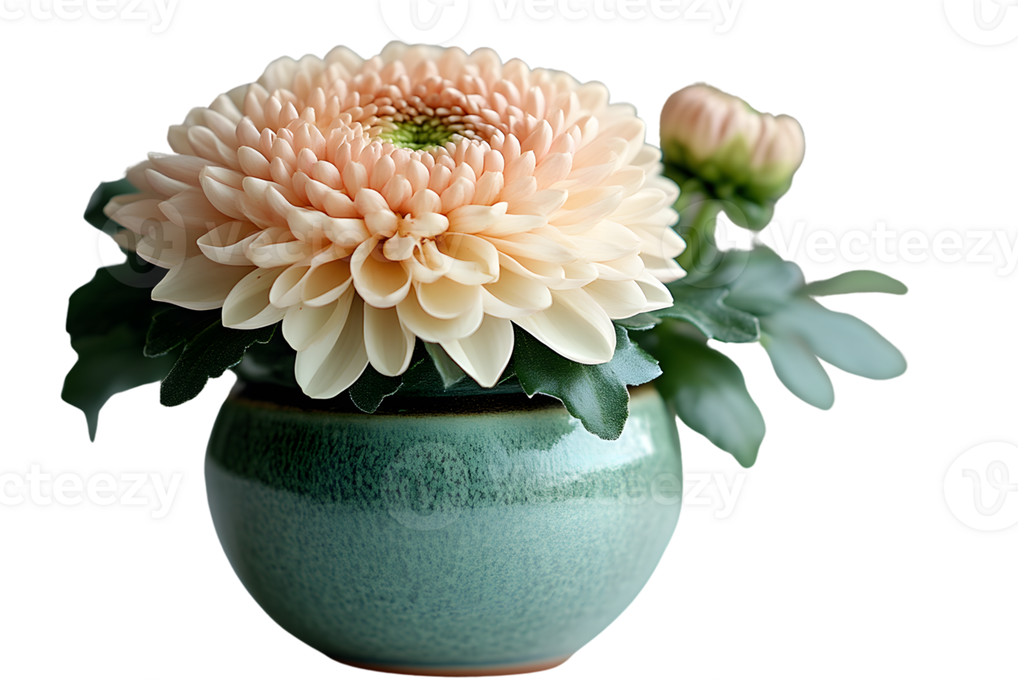 Elegant Floral Arrangement in a Ceramic Vase with Soft Petals and Green Leaves Ideal for Home png