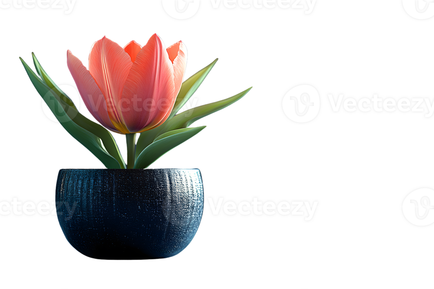 Elegant Tulip in a Modern Vase A Stunning Floral Display Against a Black Background for Design png
