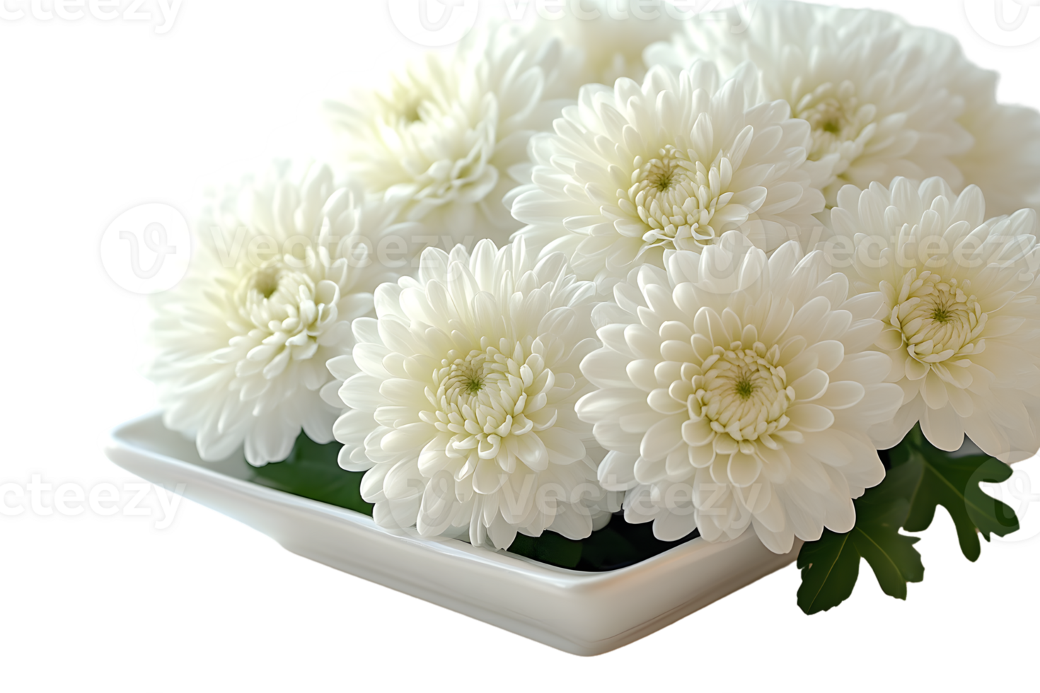 Elegant White Floral Arrangement in a Modern Vase for Decorative Purposes png