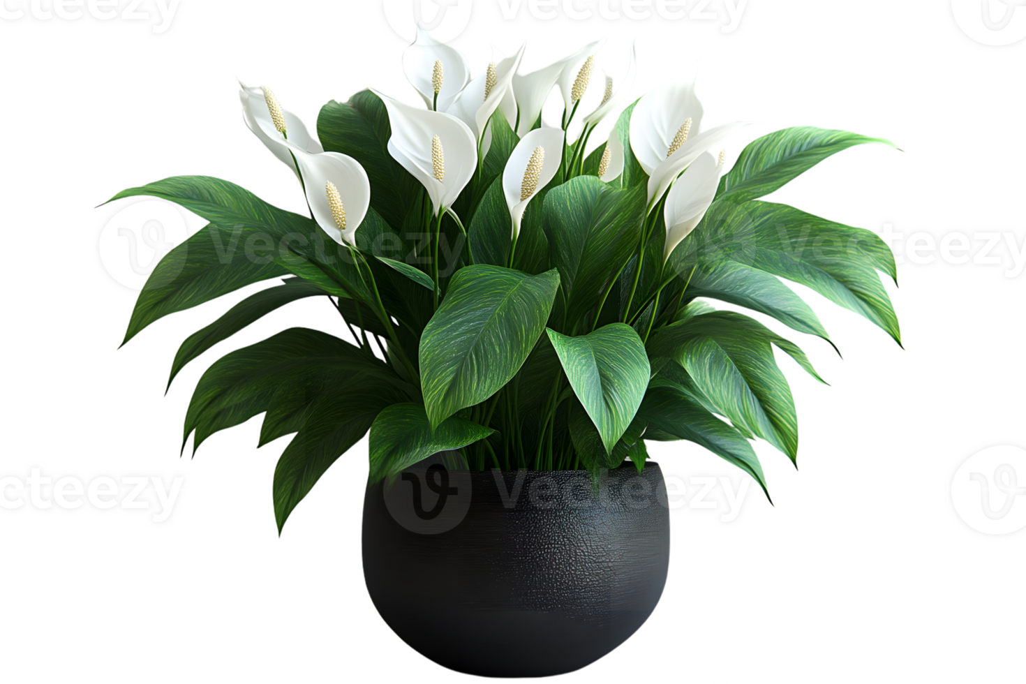 Elegant White Flower Arrangement in a Modern Vase with Lush Green Leaves Ideal for Home Decor png