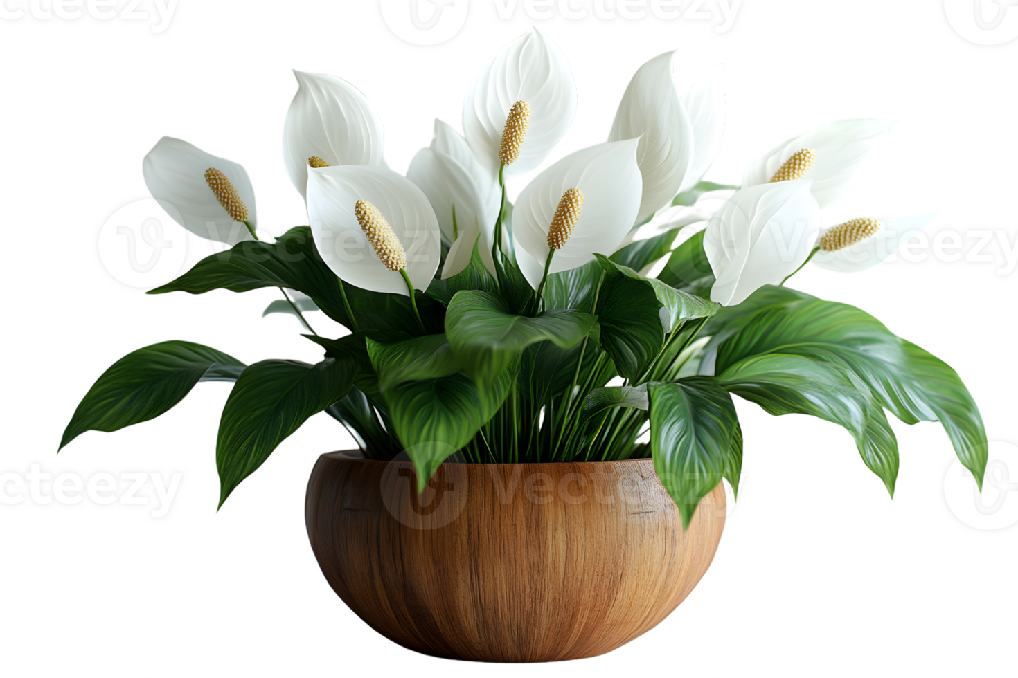 Elegant White Flower Arrangement in Wooden Pot Perfect for Home Decor and Botanical Themes png