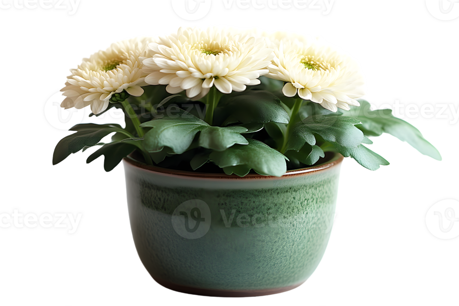 Elegant White Flowers in a Ceramic Pot Perfect for Home Decor and Botanical Themes png