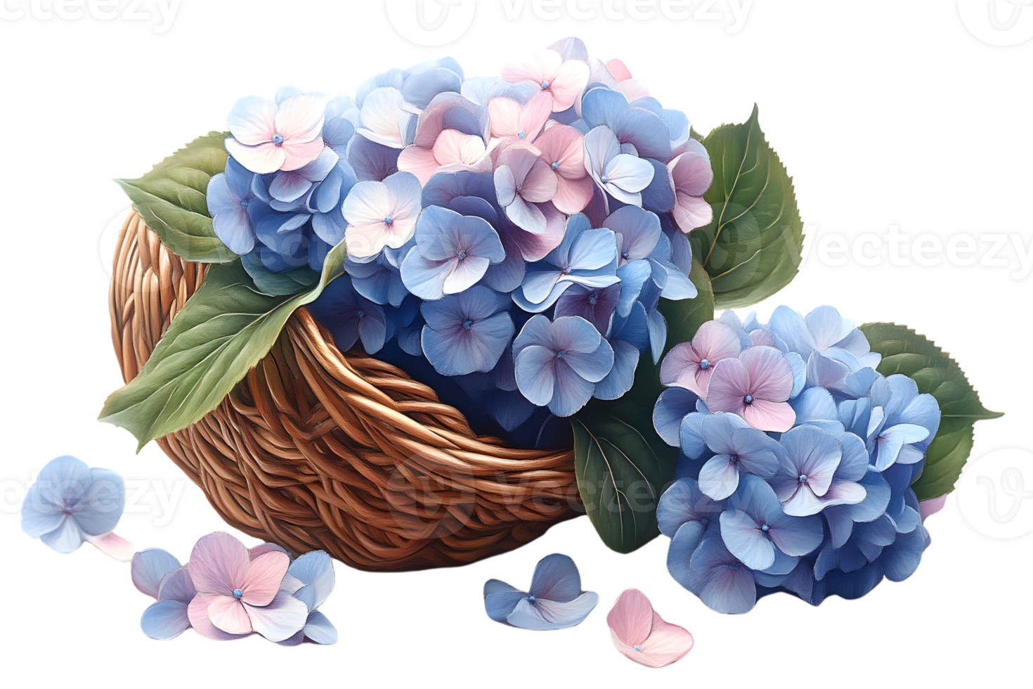Hydrangea blossoms in a wicker basket floral arrangement pastel colors delicate flowers png