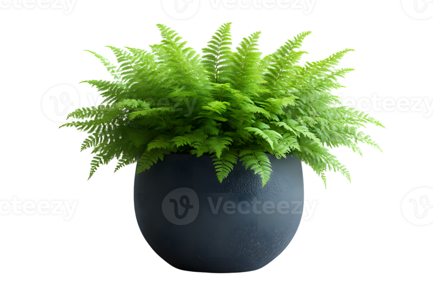 Lush Green Fern in Modern Pot Indoor Plant Home Decor Botanical Image png