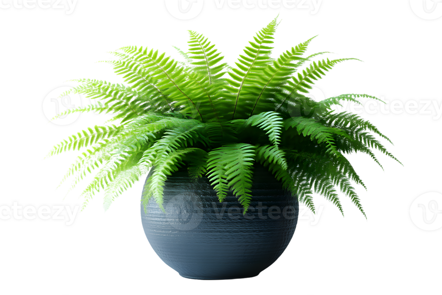 Lush Green Fern Plant in a Modern Pot Home Decor Botanical Illustration Nature Photography png