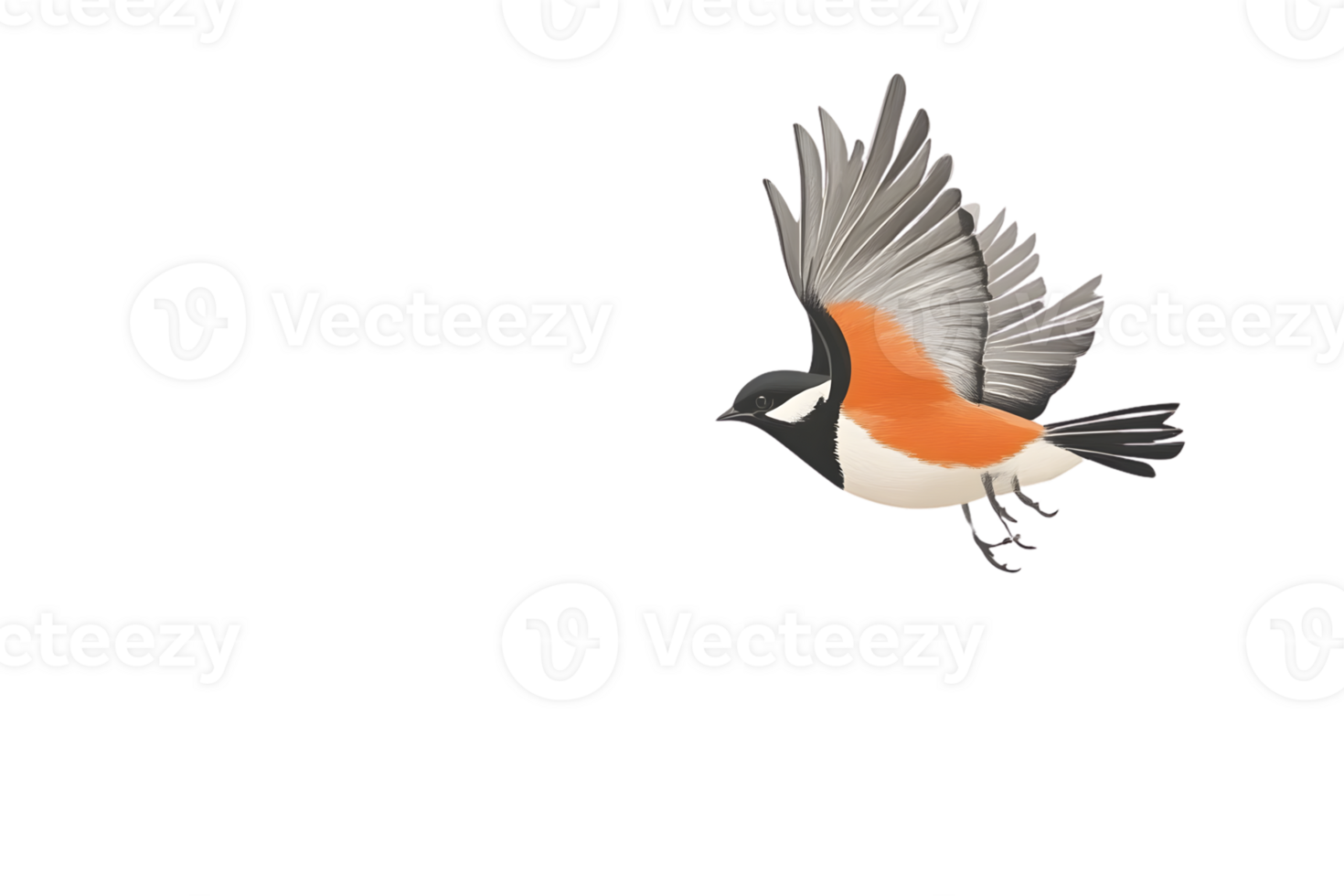A bird in flight with vibrant plumage showcasing detailed wings and a striking orange chest p png
