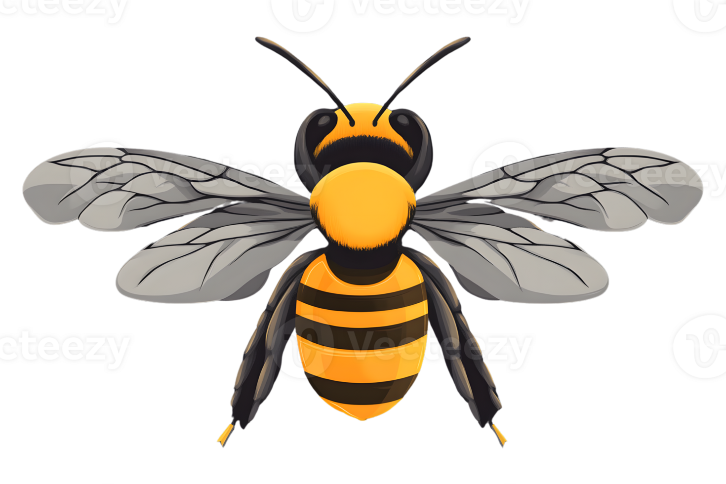 A vibrant bee with detailed wings and striking yellow and black stripes perfect for nature and png