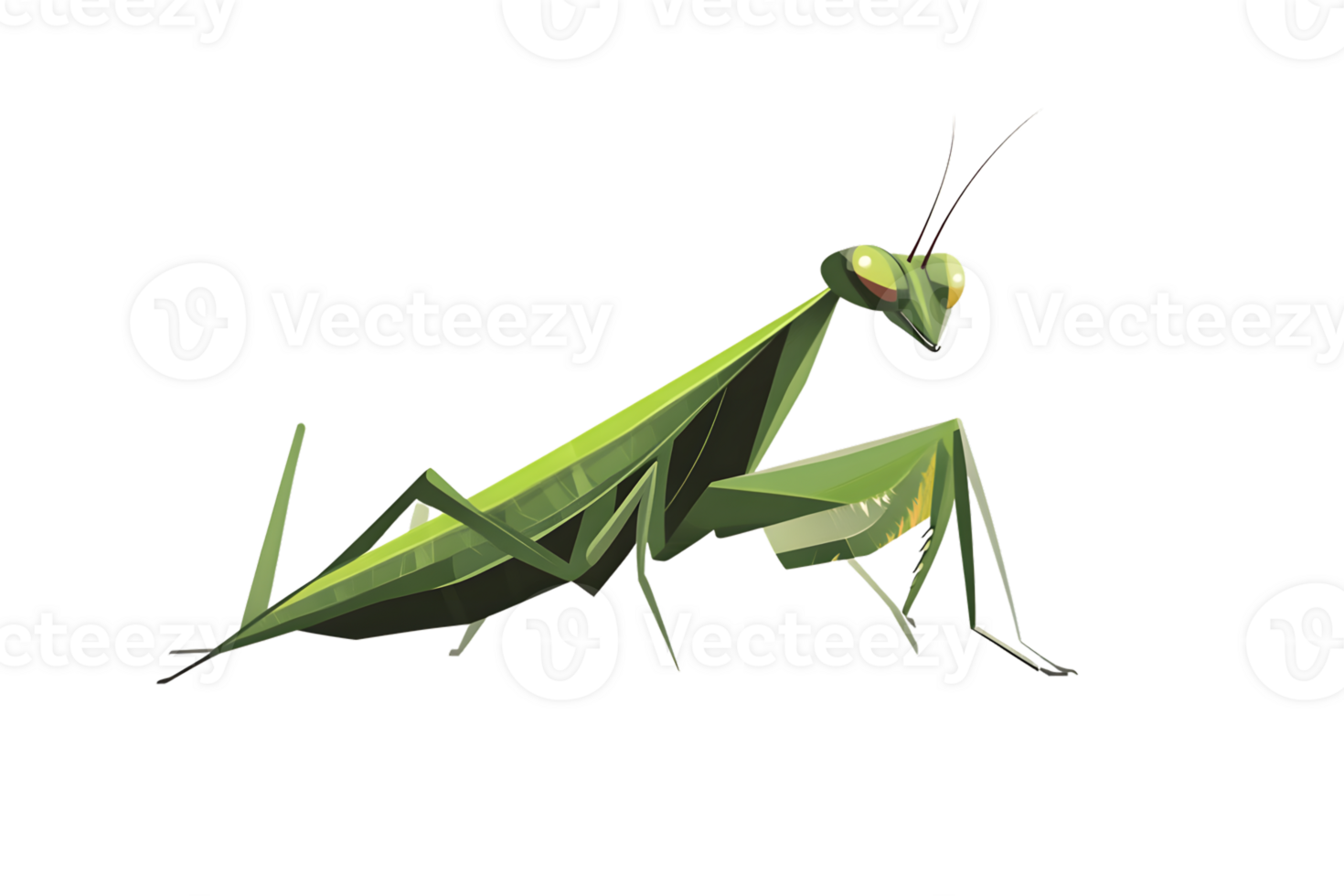 A vibrant green insect with large eyes and folded wings poised for action against a black back png
