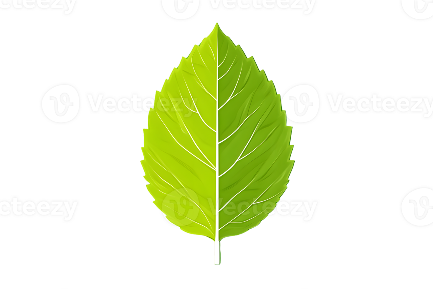 A vibrant green leaf with detailed veins perfect for nature science and design projects png