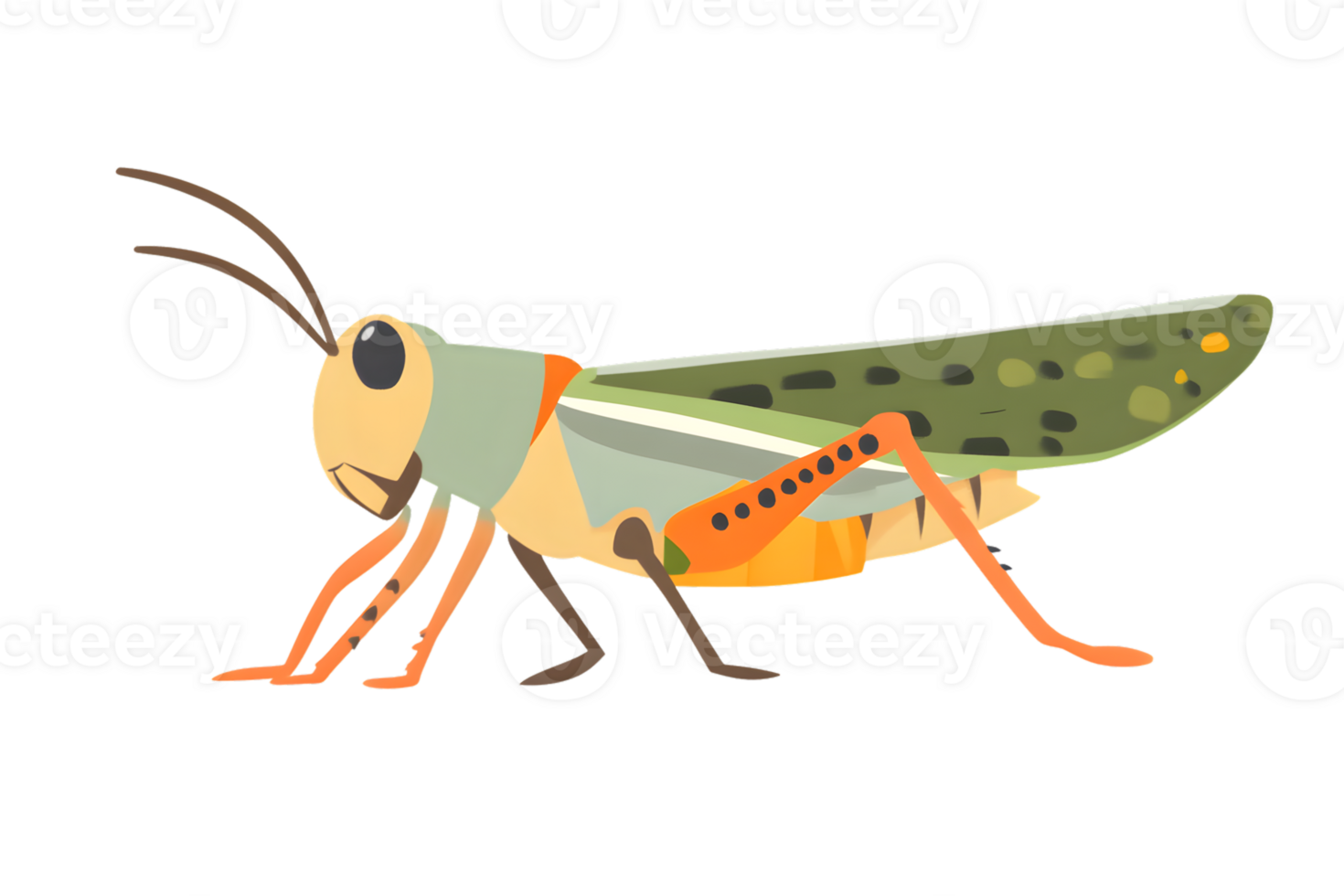 A vibrant insect with striking colors and detailed features ideal for educational materials n png