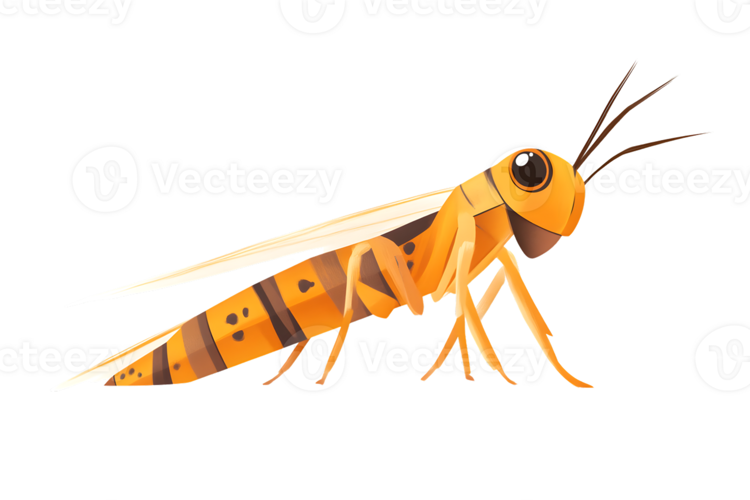 A vibrant insect with striking orange and brown stripes perfect for nature and educational con png